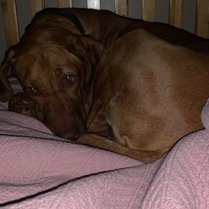 Meet your Posher, Roberta